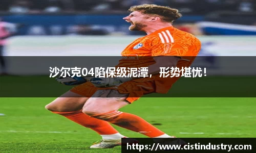 BB贝博登录入口