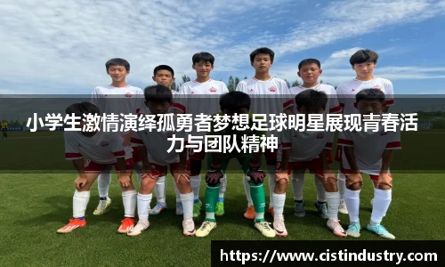 BB贝博登录入口